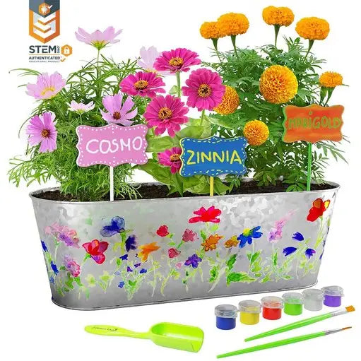 Paint and Plant Flower Growing Kit