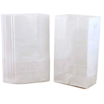 Paper Bags Size #6 - 50 per pkg, White