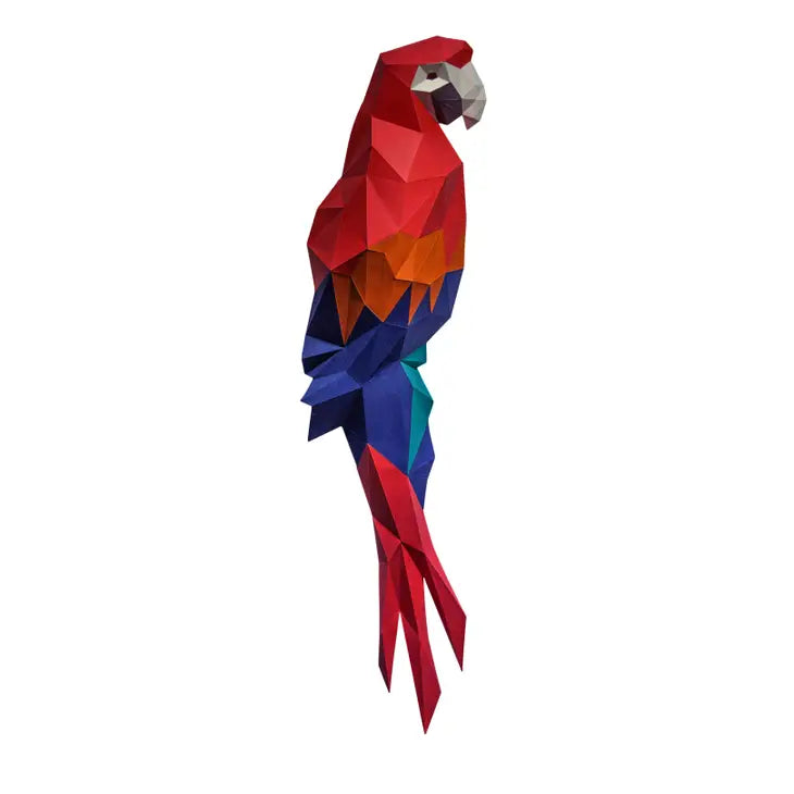 Macaw Wall Art